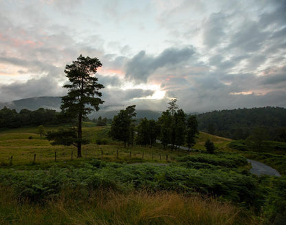 Plate 3 - Tarn Hows Above Ambleside