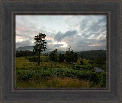 Plate 3 - Tarn Hows Above Ambleside