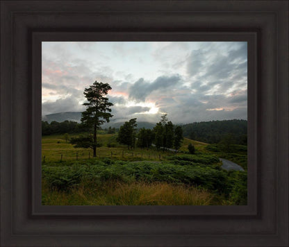 Plate 3 - Tarn Hows Above Ambleside