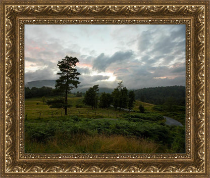 Plate 3 - Tarn Hows Above Ambleside