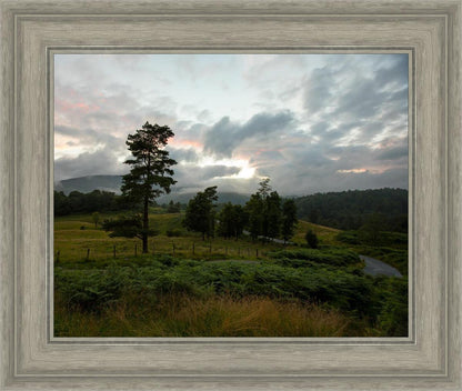 Plate 3 - Tarn Hows Above Ambleside