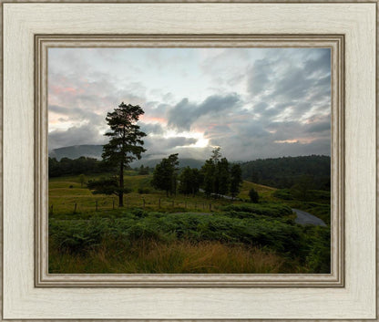 Plate 3 - Tarn Hows Above Ambleside