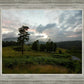 Plate 3 - Tarn Hows Above Ambleside