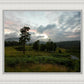 Plate 3 - Tarn Hows Above Ambleside