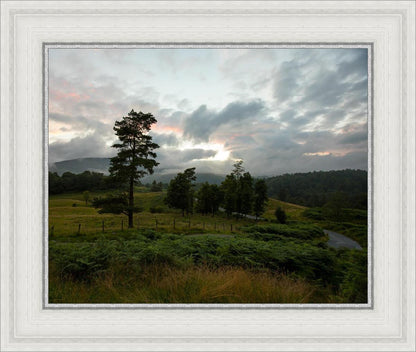 Plate 3 - Tarn Hows Above Ambleside