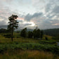 Plate 3 - Tarn Hows Above Ambleside