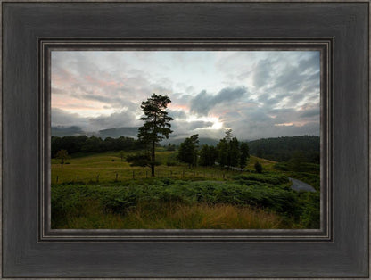 Plate 3 - Tarn Hows Above Ambleside
