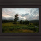Plate 3 - Tarn Hows Above Ambleside