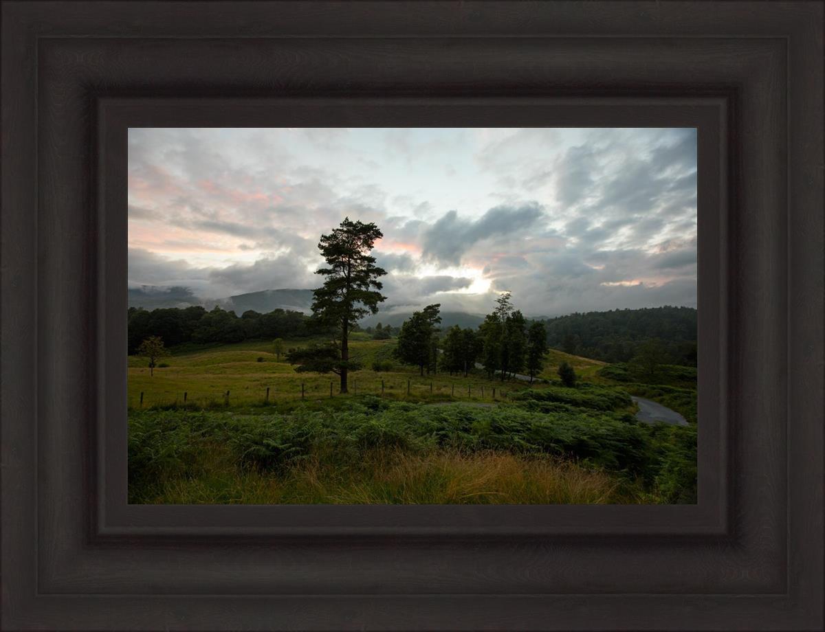 Plate 3 - Tarn Hows Above Ambleside