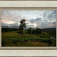 Plate 3 - Tarn Hows Above Ambleside