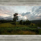 Plate 3 - Tarn Hows Above Ambleside