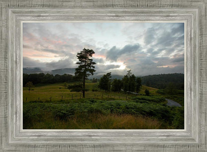 Plate 3 - Tarn Hows Above Ambleside