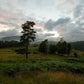 Plate 3 - Tarn Hows Above Ambleside