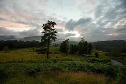 Plate 3 - Tarn Hows Above Ambleside