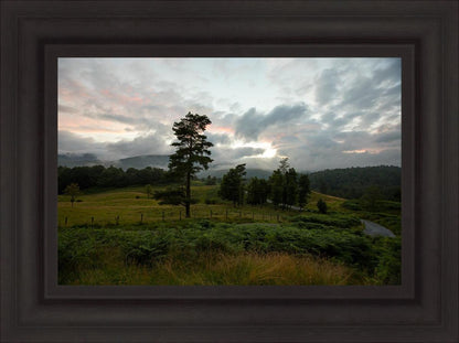 Plate 3 - Tarn Hows Above Ambleside