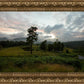 Plate 3 - Tarn Hows Above Ambleside