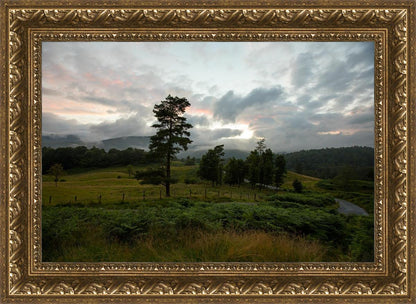 Plate 3 - Tarn Hows Above Ambleside