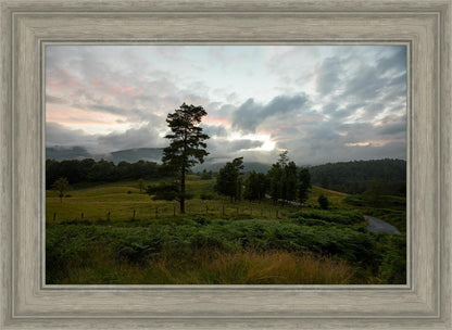 Plate 3 - Tarn Hows Above Ambleside