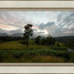 Plate 3 - Tarn Hows Above Ambleside