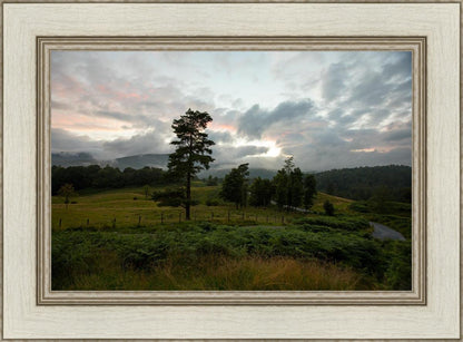 Plate 3 - Tarn Hows Above Ambleside