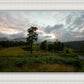 Plate 3 - Tarn Hows Above Ambleside