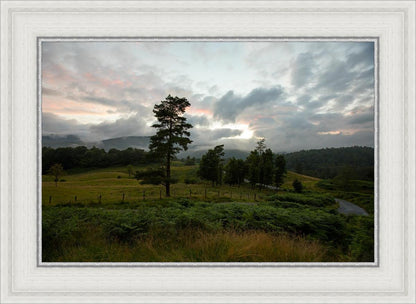 Plate 3 - Tarn Hows Above Ambleside