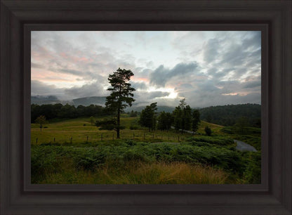 Plate 3 - Tarn Hows Above Ambleside