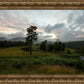 Plate 3 - Tarn Hows Above Ambleside
