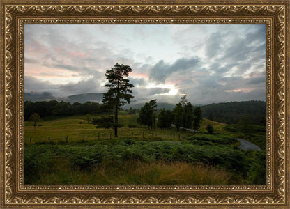 Plate 3 - Tarn Hows Above Ambleside