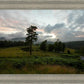 Plate 3 - Tarn Hows Above Ambleside