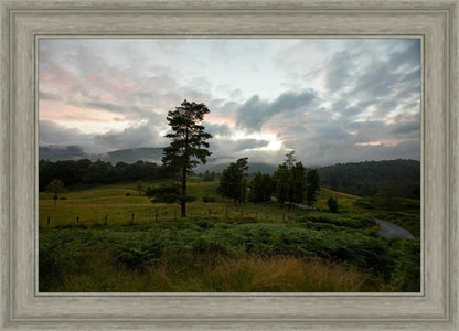 Plate 3 - Tarn Hows Above Ambleside