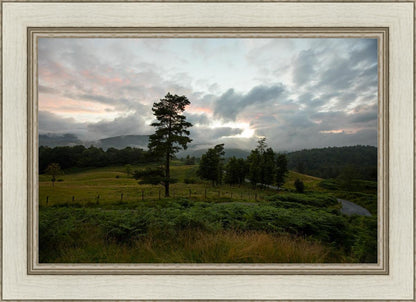 Plate 3 - Tarn Hows Above Ambleside