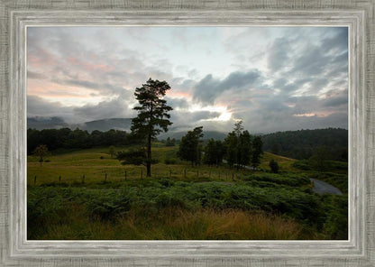 Plate 3 - Tarn Hows Above Ambleside