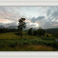 Plate 3 - Tarn Hows Above Ambleside
