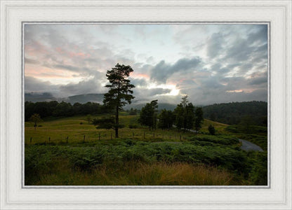 Plate 3 - Tarn Hows Above Ambleside