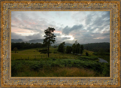 Plate 3 - Tarn Hows Above Ambleside
