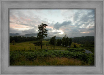 Plate 3 - Tarn Hows Above Ambleside