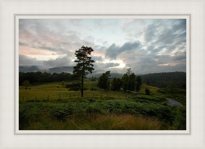Plate 3 - Tarn Hows Above Ambleside