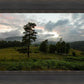 Plate 3 - Tarn Hows Above Ambleside
