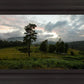 Plate 3 - Tarn Hows Above Ambleside