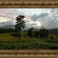Plate 3 - Tarn Hows Above Ambleside