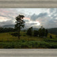 Plate 3 - Tarn Hows Above Ambleside