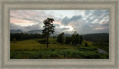 Plate 3 - Tarn Hows Above Ambleside