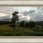 Plate 3 - Tarn Hows Above Ambleside