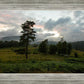 Plate 3 - Tarn Hows Above Ambleside