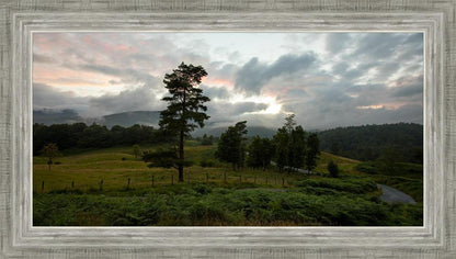 Plate 3 - Tarn Hows Above Ambleside
