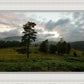 Plate 3 - Tarn Hows Above Ambleside