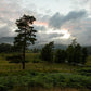Plate 3 - Tarn Hows Above Ambleside