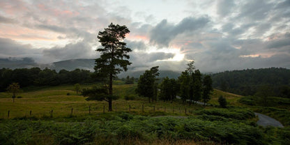 Plate 3 - Tarn Hows Above Ambleside