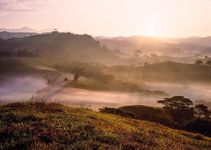 Plate 2 - Cumorah Battlefield Early Morning